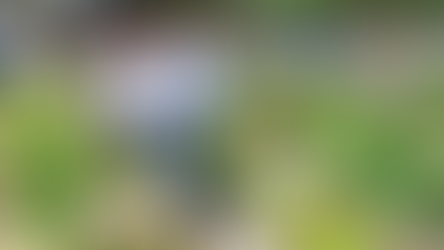 Horta Comunitária Família de Maria transforma área ociosa na CIC e beneficia famílias da região