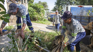 Prefeitura de Curitiba intensifica combate à dengue com mutirões em mais duas regionais