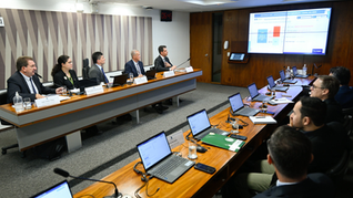 No Senado Federal, Fiep cobra melhorias no fornecimento de energia no Paraná