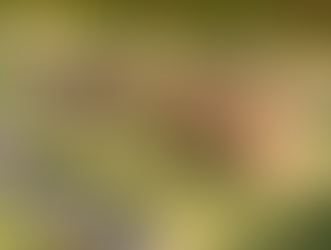 Centro de Educação Profissional de Santo Antônio da Platina será transformado em colégio agrícola