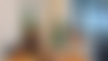 Guto Silva recebe o deputado federal Sérgio Souza (MDB)