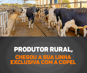 Leite_300x250px.gif