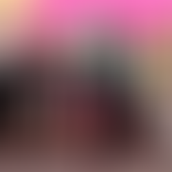 Livro Elas Empreendem transforma trajetórias de superação em inspiração para mulheres de Curitiba