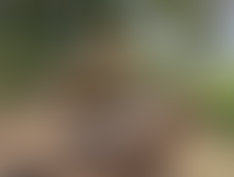 Patrolamento é intensificado para garantir melhores condições nas estradas rurais