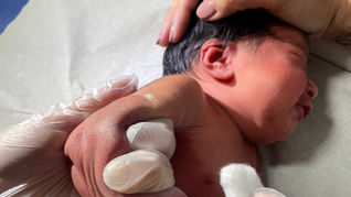 Paraná amplia vacinação da BCG em maternidades e protege bebês contra a tuberculose