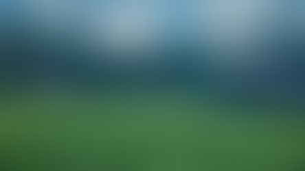 Novidades do cultivo e tecnologias serão apresentados no Dia de Campo Feijão Paraná