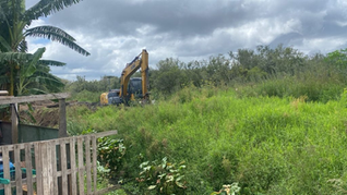 Limpeza de canais reforça drenagem e ajuda a prevenir alagamentos em bairros de São José dos Pinhais