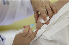 Perto do verão: Saúde reforça necessidade da vacinação e cuidados contra a febre amarela