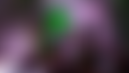 Do presépio em tamanho real ao castelo medieval da família Moletta: o Umbará brilha no Natal de Curitiba 2025