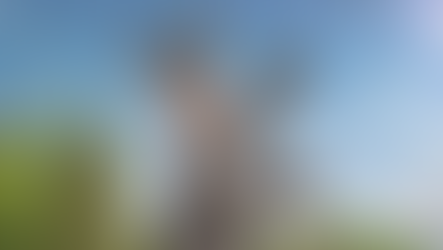 Evelyn Castro se prepara para viver Burro do Shrek no teatro