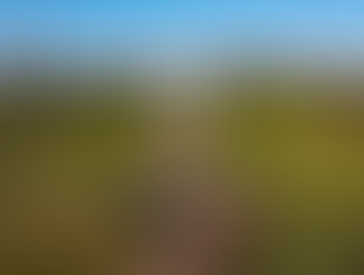 Curitiba e Foz do Iguaçu se destacam como destinos turísticos nas buscas do Trivago