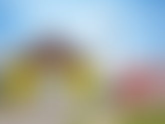 Turismo Rural: conheça a Rota Caminhos da Colônia Murici em São José dos Pinhais