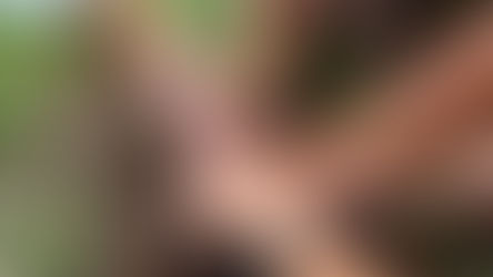 Alunos plantam cinturão verde e avançam na recuperação de rio em São José dos Pinhais