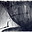 www.williamfricker.design favicon