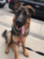 Kaiser