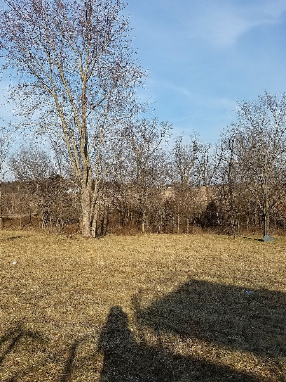 yard at farm