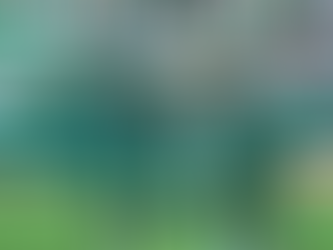 Walter Clar brilha, Chape vence o Paysandu e assume 3º lugar na Série B