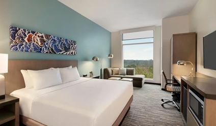 HyattHouseATLXP-Perimeter-P007-One-King-Den.16x9-424-248.png