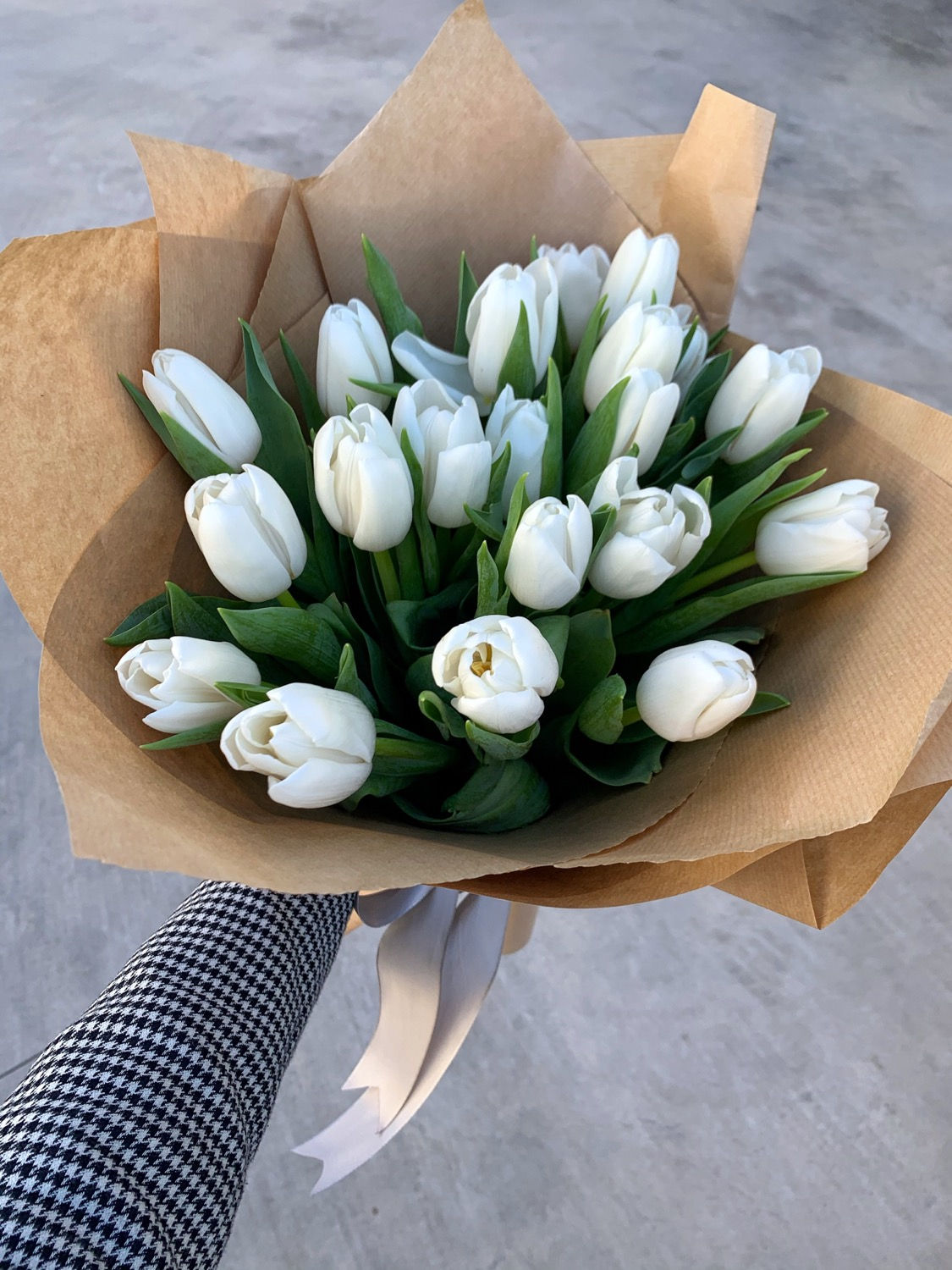 20 white tulips in craft paper 