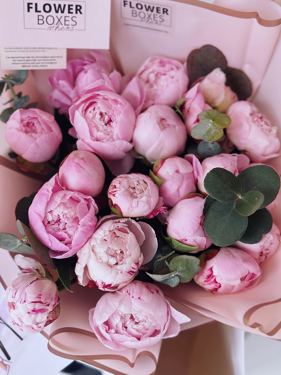 Thumbnail: 20 peonies 