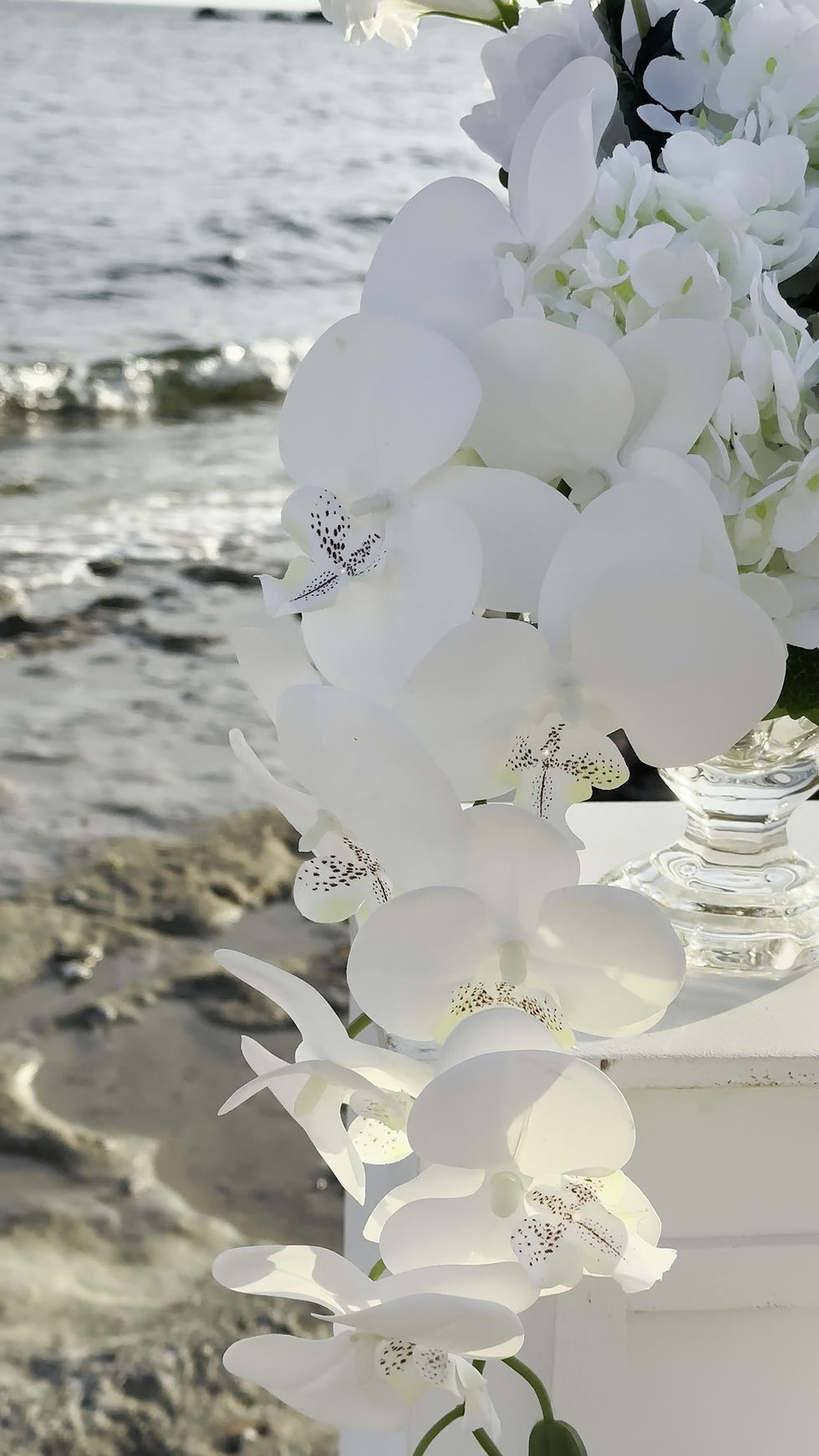 Thumbnail: Romantic marriage proposal by the sea with sushi or cheese platter and champagne