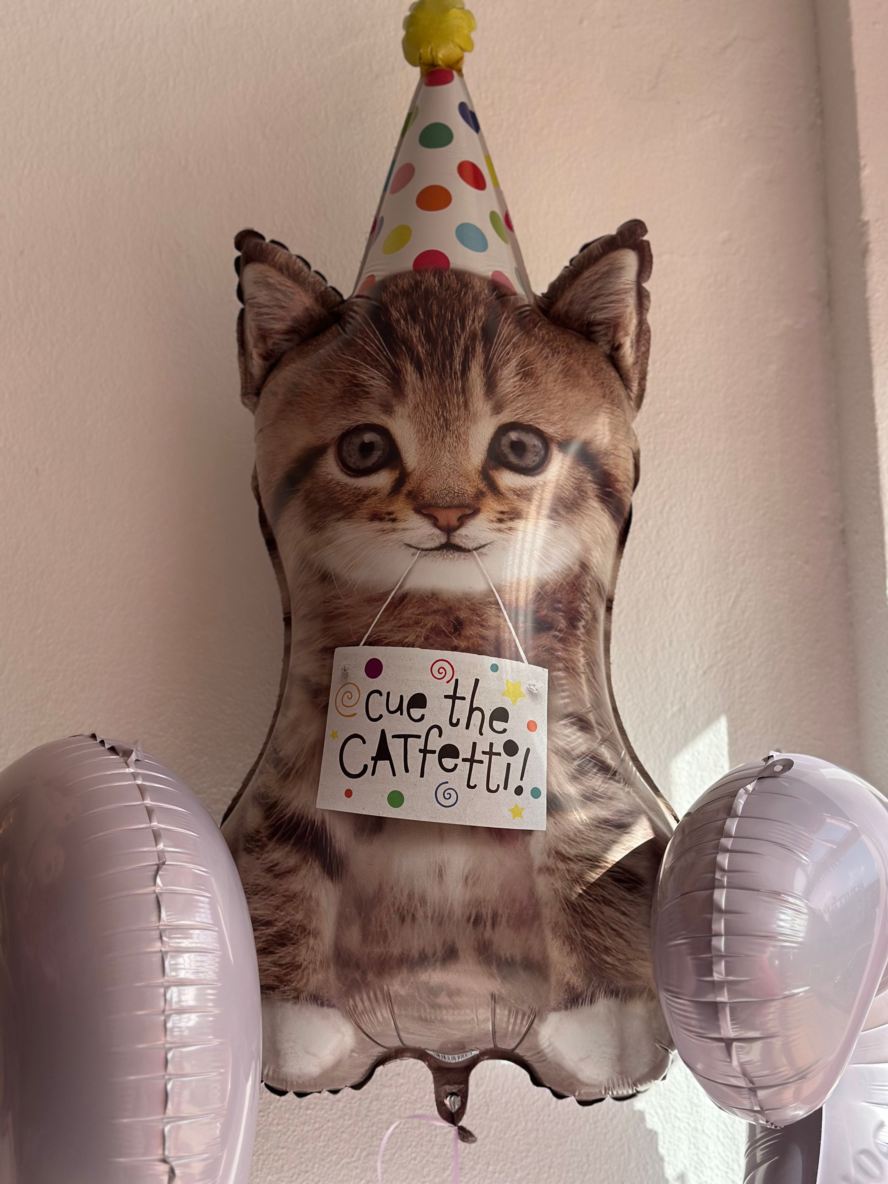 Cat birthday balloons 
