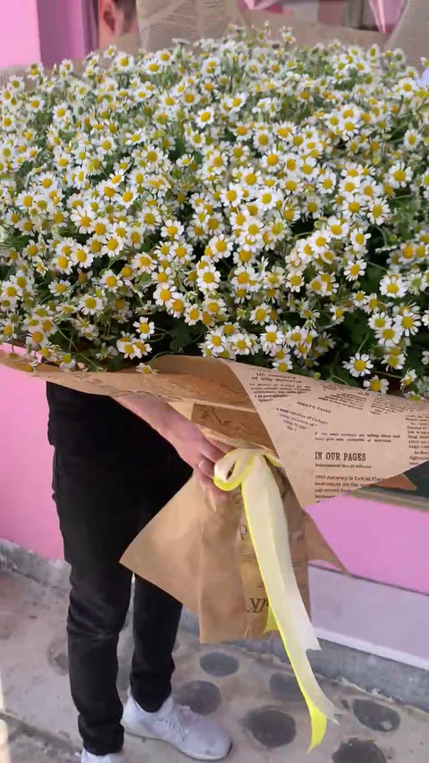 Thumbnail: Giant bouquet Chamomili 