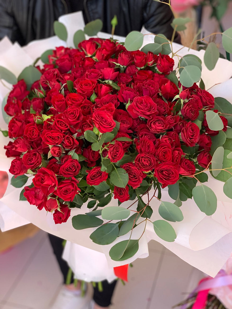 Μικρογραφία: 40 red bush roses 