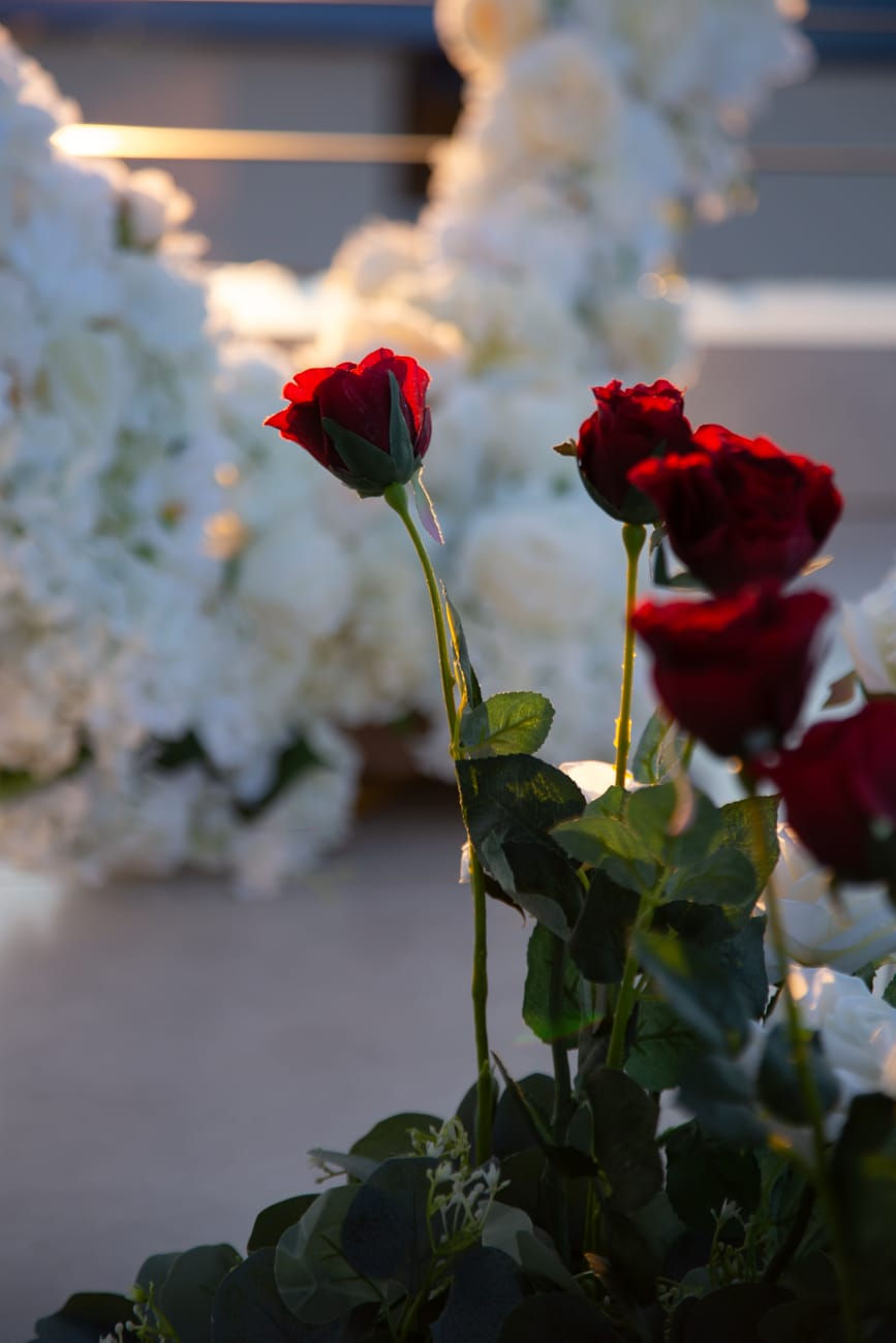 Thumbnail: Marriage proposal with Acropolis view 