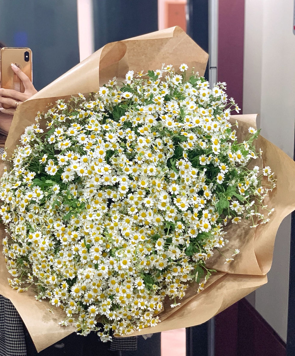 Thumbnail: Giant bouquet Chamomili 
