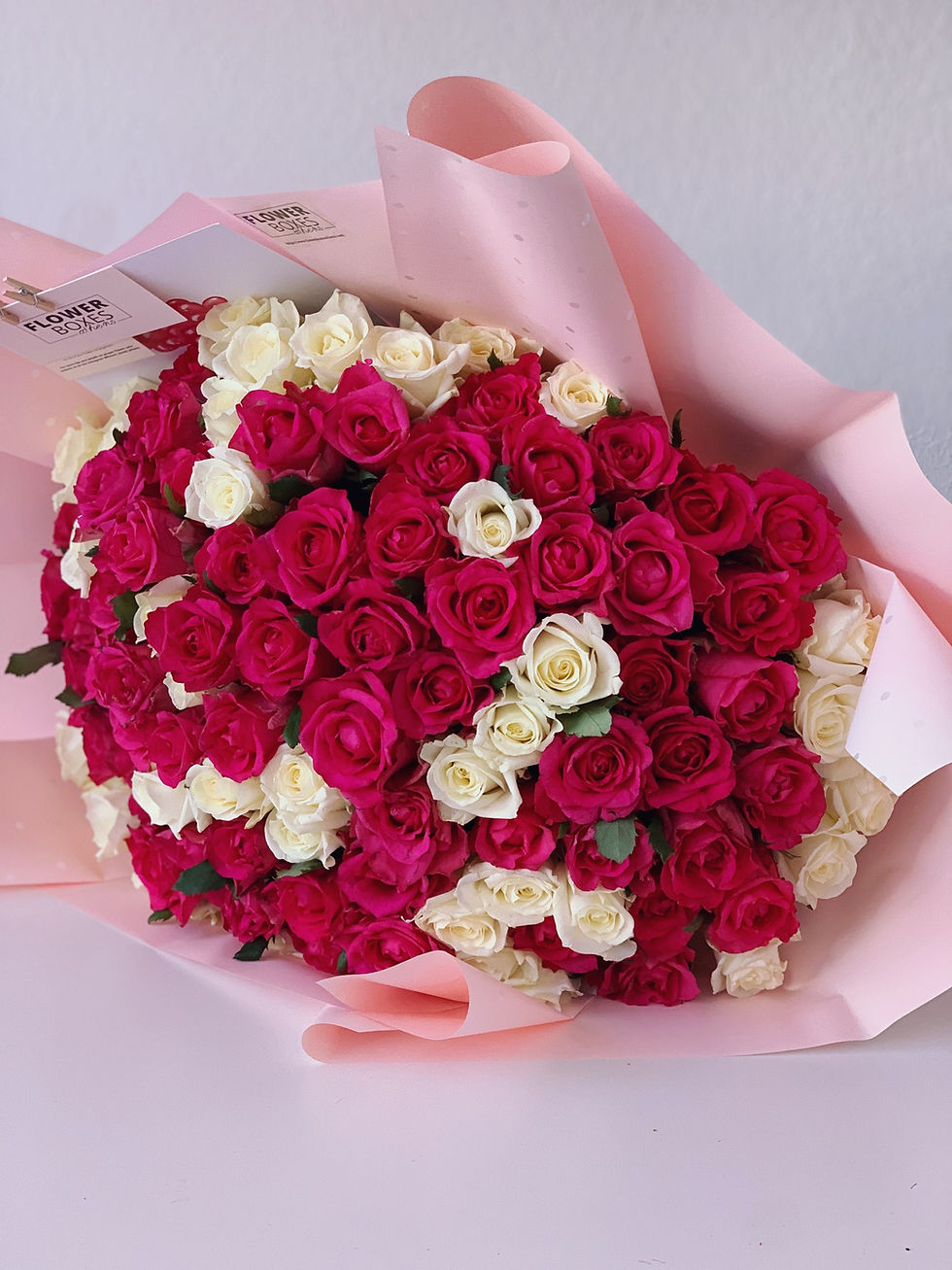 Μικρογραφία: 100 mix fuchsia and white roses