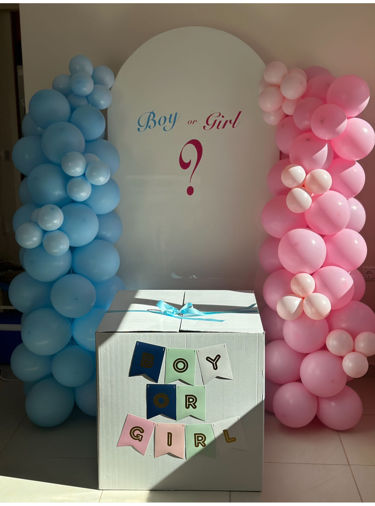 Gender reveal 