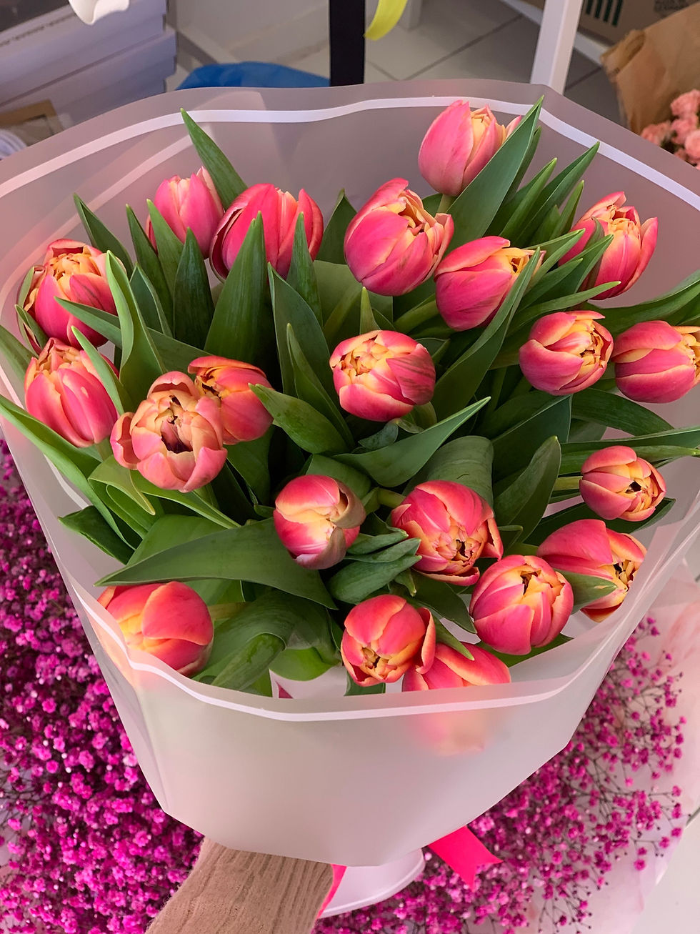 Thumbnail: Peony-shaped tulips 20