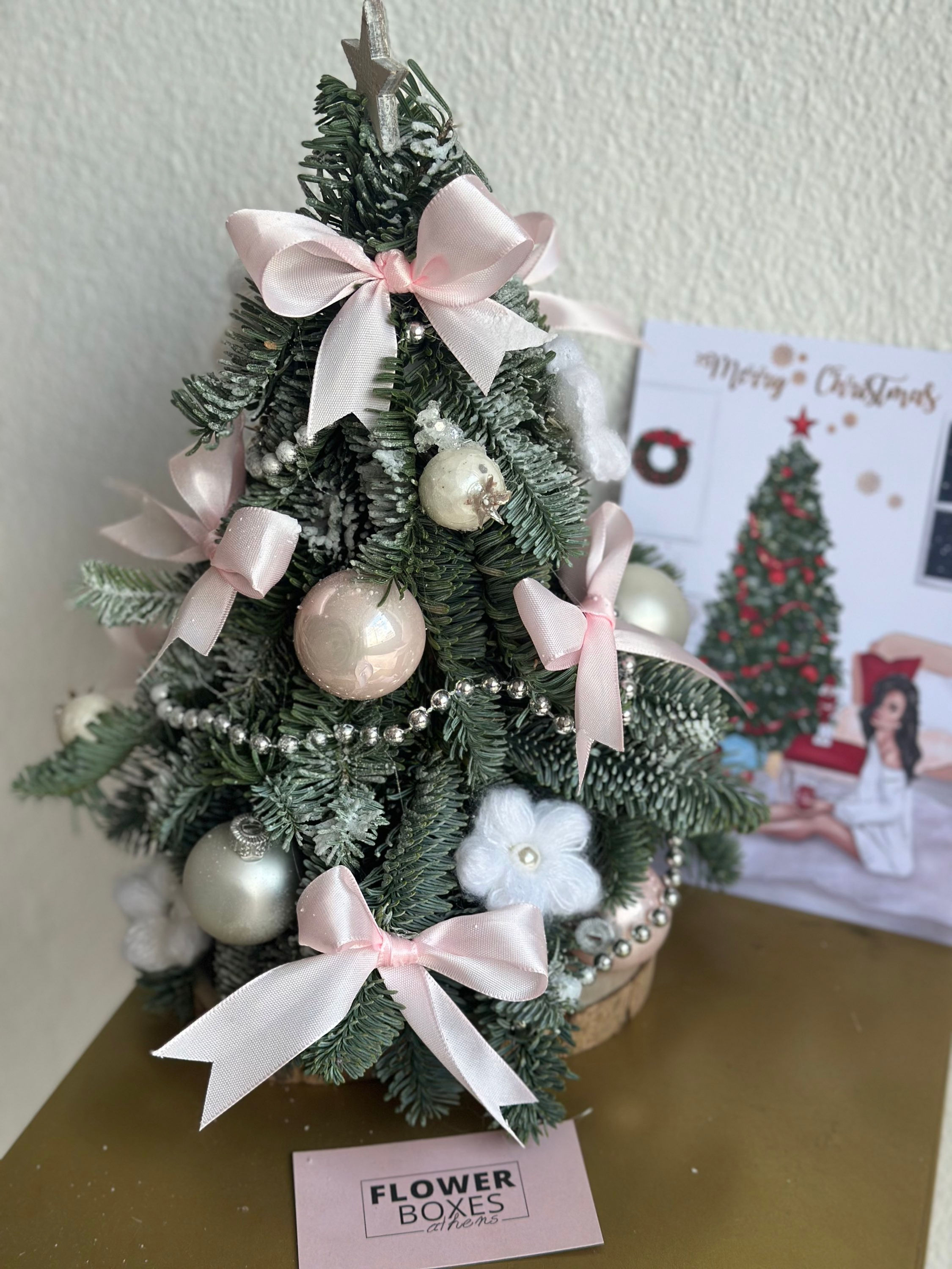Nordmann Christmas tree white-pink