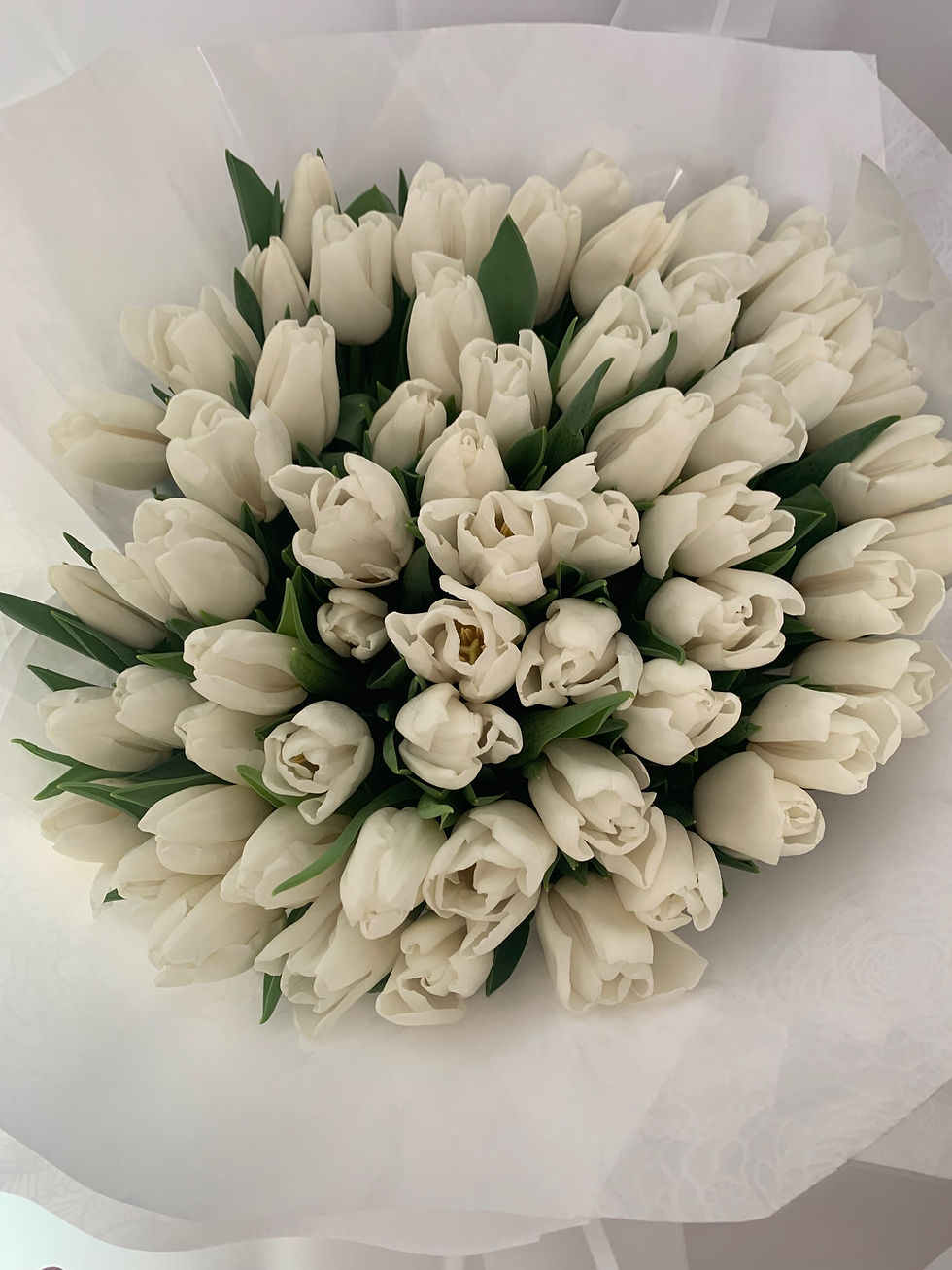 Thumbnail: 60 white tulips 