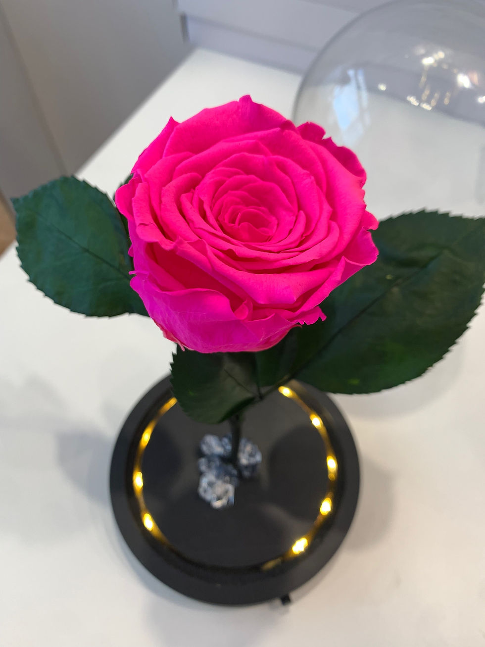 Μικρογραφία: Fuchsia forever rose led