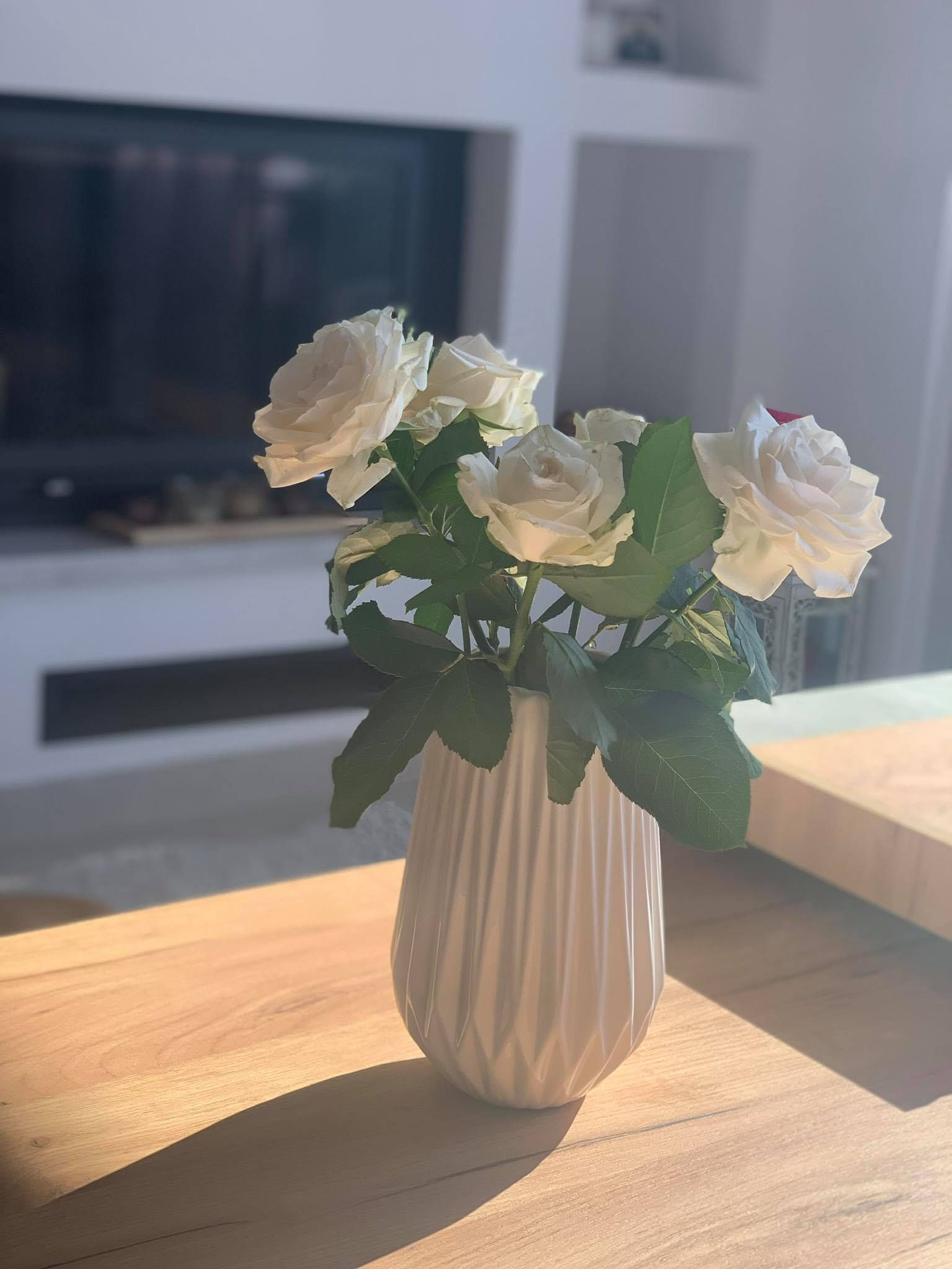 Λευκά τριαντάφυλλα