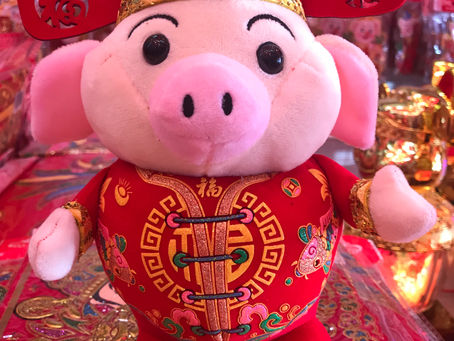 Year of the Pig - 猪年