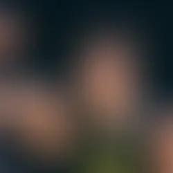 Gui Santos mantém bom momento, mas Warriors caem na prorrogação para o Bulls