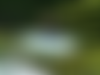 Mateus Herdy aguarda definição no Challenger Series e mantém sonho vivo de chegar ao CT