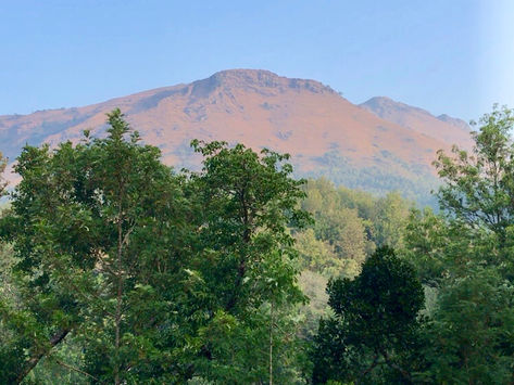 Tranquil Homestay in Chikmagalur, Karnataka!