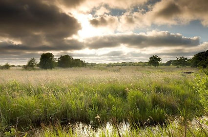 Hickling-Broad-credit-Richard-Osbourne.j