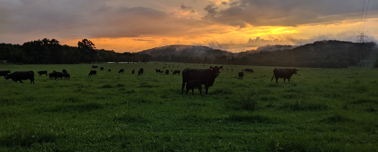 MVIMG_20190722_194659_edited.jpg