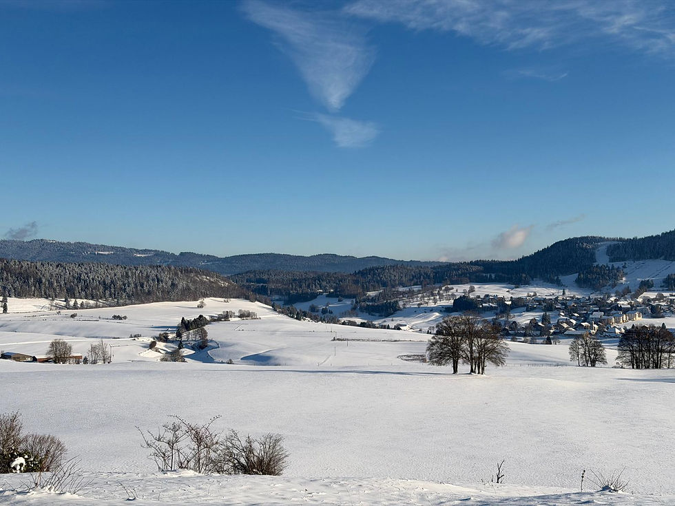 Paysage neige