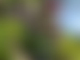 【癒心鄉公告 x 勞動節休息】