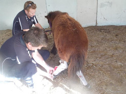 Facebook - 28th July.jpg