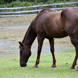 16939139_1310050839062780_8863761222712573613_n