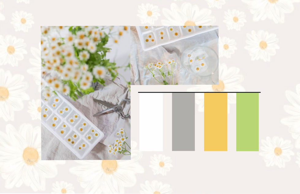 color.jpg