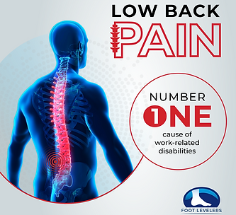 Infographic highlighting low back pain as the top cause of work-related disability, with spine image.