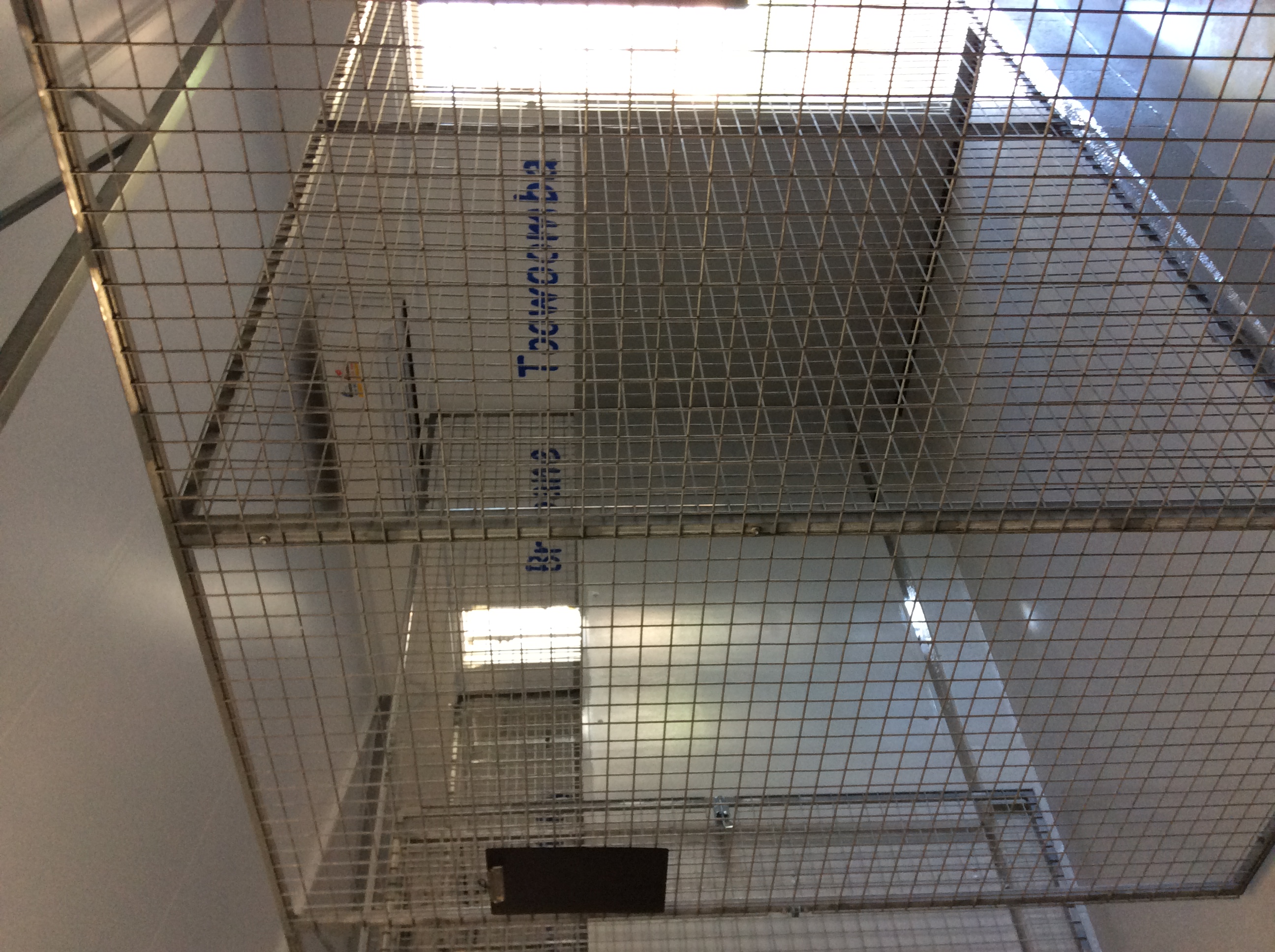 Red Dog Boarding Kennels Geraldton Red Dog Boarding Kennels